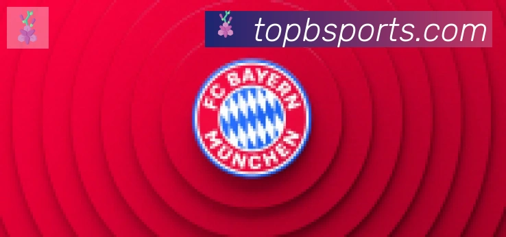 Bsports官网合作伙伴