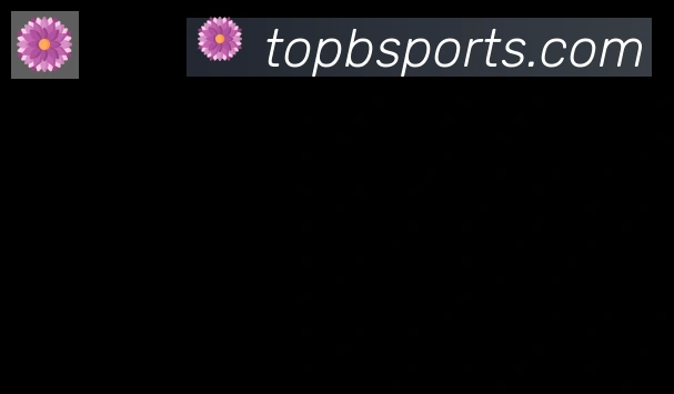 Bsports官网合作伙伴