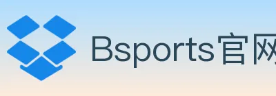 Bsports官网 logo